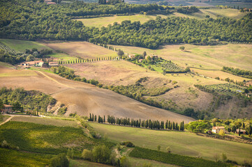 Houses and green fields in Montepulciano. Tuscany, Italy..