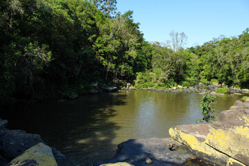 river in the forest