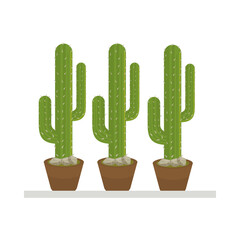 cactus mexican plant in ceramic pot flat style