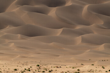 Fototapeta na wymiar Desert landscape photography pictures