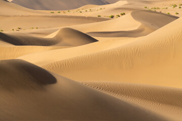 Desert landscape photography picture