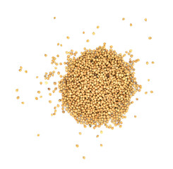 Top view of Organic Dried coriander seeds (Coriandrum sativum) isolated on white background.