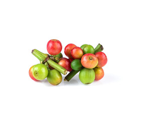 Red coffee beans , ripe and unripe berries isolated on white background