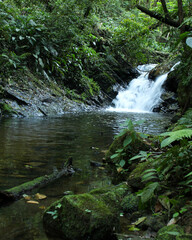 waterfall in the forest