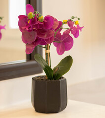 Home Decor and Home interior