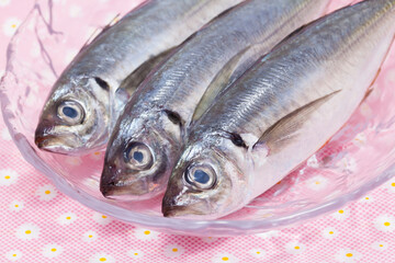 真あじ