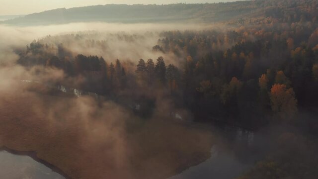 Aerial view of the river at sunrise. Flight over the river flowing in the forest and covered with morning fog