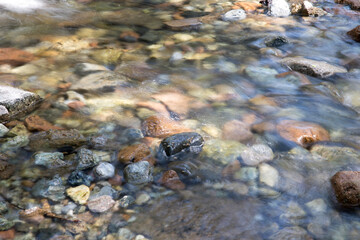 Slowly shoot the water flowing in the mountains