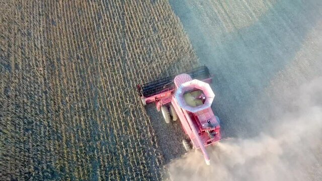 Aerial drone view; following a red combine harvester harvesting mature soybeans in a field in Illinois about an hour before sundown