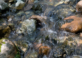 Stream flowing in the mountains outdoors in summer