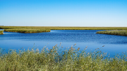 Photography pictures of wetland parks