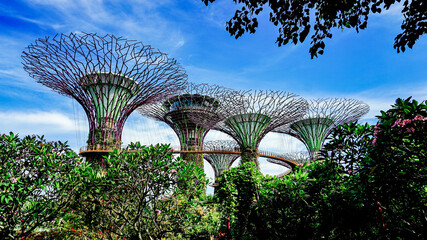 Fototapeta premium Singapore's artificial tree park scenery