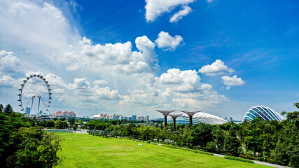 Fototapeta na wymiar Singapore's artificial tree park