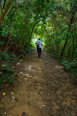 Fototapeta premium camino 