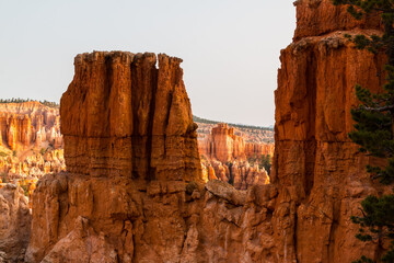 Hoodoos on The Peek A Boo Loop Trail, Bryce Canyon National Park, Utah, USA