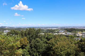 Fototapeta na wymiar 七沢森林公園からの眺望（神奈川県厚木市）