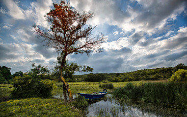 It is 11 km north of Göynük district. Located on the shore of Çubuk Village and surrounded by...