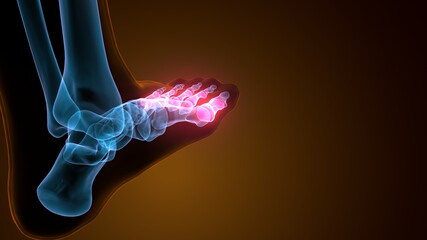 3d illustration of the skeleton proximal phalanx bone anatomy
