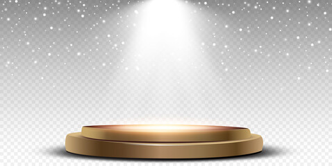 Vector heavy snowfall, snowflakes in different shapes and forms. Snow flakes, snow background. Falling Christmas.