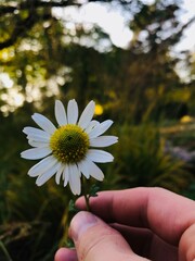 
beauty in simplicity