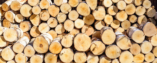 The logs are sawed from the trunks of birch stacked in a pile