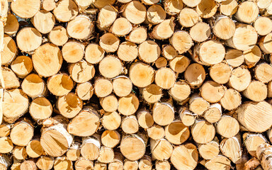 The logs are sawed from the trunks of birch stacked in a pile