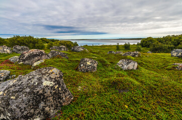 Naklejka premium Wild polar nature Zayatsky Big Island.