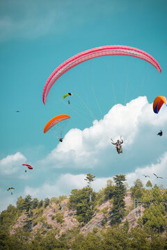 paragliding in the Manali