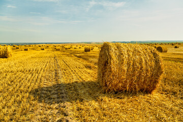 Endless field with bales of straw.