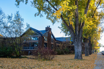 Afternoon view of the Flagstaff public library