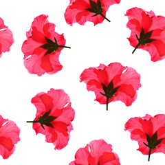 exotic hibiscus flower. Seamless bright tropical background with a paradise exotic hibiscus flower.