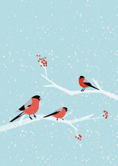 Fototapeta na wymiar Hand drawn Christmas illustration with bullfinches on a rowan branch.