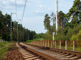 empty railroad and forest