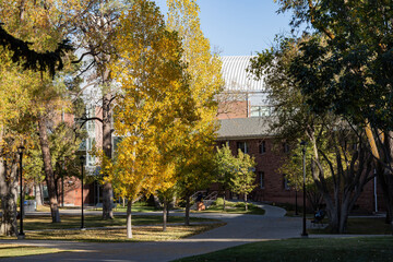 Beautiful fall color around the campus of Northern Arizona University