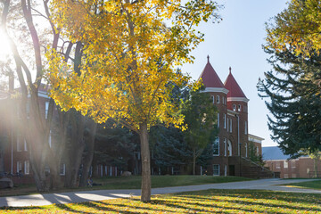 Beautiful fall color around the campus of Northern Arizona University