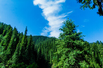 Fototapeta premium Various views of Narkanda. Shimla