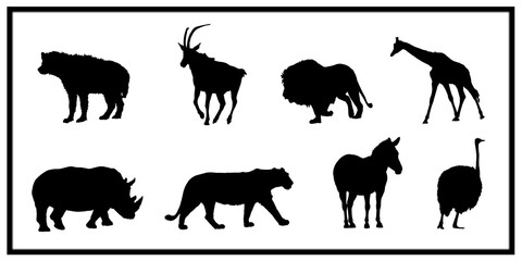 Animal symbols on white background, zoo