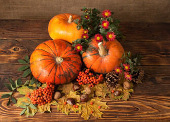 pumpkins on a wooden table with autumn leaves, chestnuts, nuts, red berries and autumn Burgundy flowers