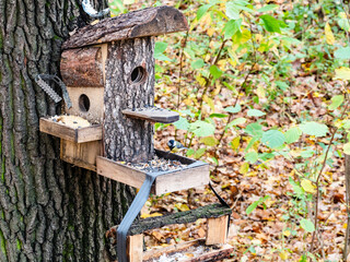 handmade wooden bird feeder from pine planks on tree in city park on autumn day