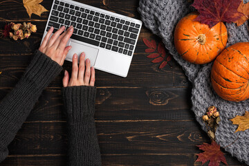Female hands typing laptop on workspace with yellow and red maple leaves and pumpkin. Desktop with fallen leaves on dark wooden background. Flat lay, top view.