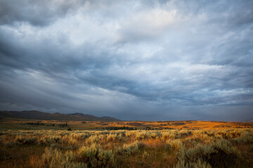 Sunrise over Sagebrush, Yellowstone