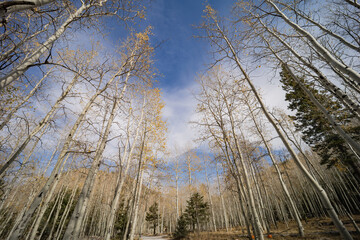 Afternoon view of the beautiful landscape of Inner Basin area