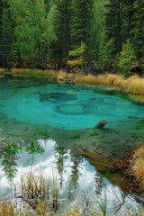Fototapeta na wymiar blue lake in which fountains at the bottom color blue circles in the vicinity of the village Aktash, Altai Mountains