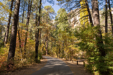 Beautiful fall color around Cave Springs Campground