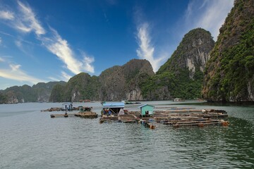 Fototapeta na wymiar A floating fishing village in between the thousand islands of Halong Bay in Vietnam