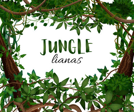 Tropical Lianas Frame Background 