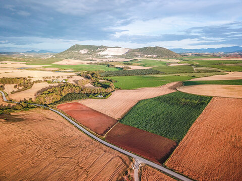 Aerial view of agricultural landscape in Moron de la Frontera, Andalusia, Spain.