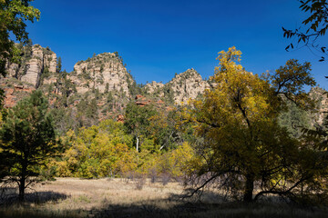 Beautiful fall color around West Fork hiking area