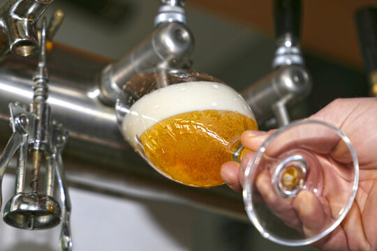 Pils zapfen