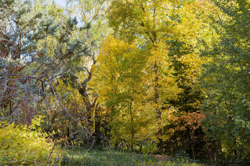 Beautiful fall color around West Fork hiking area